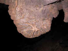 flowingstonefeature02.jpg (64422 bytes)