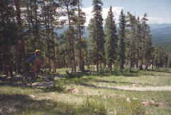 michael_winterpark04.jpg (77242 bytes)
