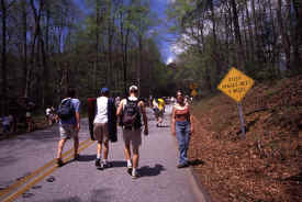 brasstown0101.jpg (175914 bytes)