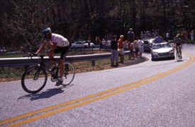 brasstown0602.jpg (140709 bytes)