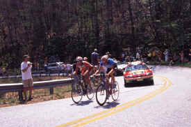 brasstown0801.jpg (142952 bytes)