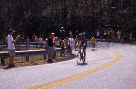 brasstown0802.jpg (122994 bytes)