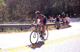 brasstown0803.jpg (127828 bytes)