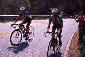 brasstown0804.jpg (164710 bytes)