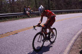 brasstown0901.jpg (155745 bytes)