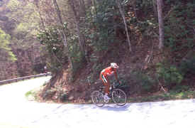 brasstown0903.jpg (122987 bytes)