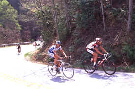 brasstown0904.jpg (141976 bytes)