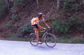 brasstown1001.jpg (131213 bytes)