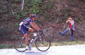 brasstown1002.jpg (153254 bytes)