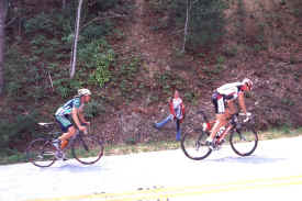 brasstown1003.jpg (144128 bytes)