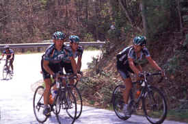 brasstown1101.jpg (140498 bytes)