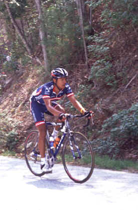 brasstown1102.jpg (123442 bytes)