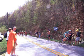 brasstown1103.jpg (172547 bytes)