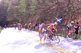 brasstown1104.jpg (149951 bytes)