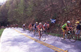 brasstown1201.jpg (168818 bytes)