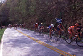 brasstown1202.jpg (154920 bytes)