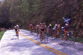 brasstown1203.jpg (158497 bytes)