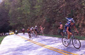 brasstown1204.jpg (164831 bytes)