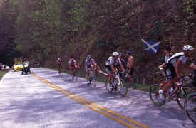 brasstown1301.jpg (139385 bytes)