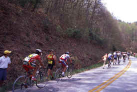 brasstown1302.jpg (133552 bytes)