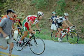 georgia0102.jpg (139850 bytes)