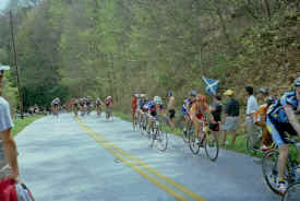 georgia0103.jpg (149220 bytes)