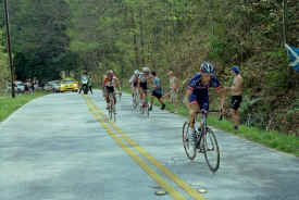 georgia0104.jpg (164507 bytes)