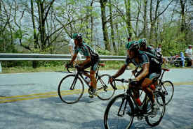 georgia0202.jpg (191995 bytes)