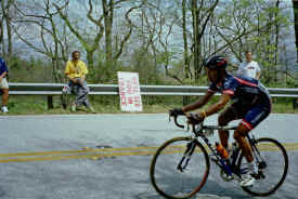 georgia0203.jpg (162821 bytes)