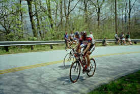 georgia0504.jpg (170843 bytes)