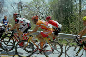 georgia0703.jpg (168606 bytes)