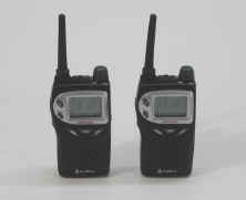 cobragmrs01.jpg (29116 bytes)