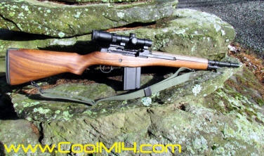 .450 Bushmaster M14 Right Side
