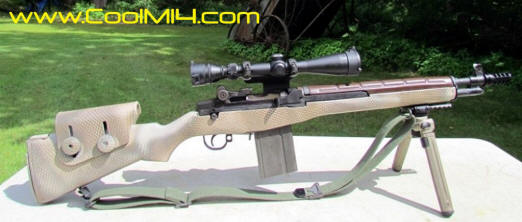 Bula H&R M14 Punisher