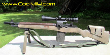 Bula H&R M14 Punisher