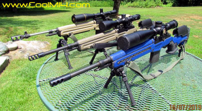 M14 Ten Dot Rifel Group 01