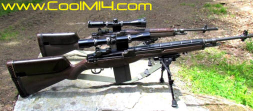 Pair of IDF M14 Builds