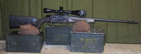 browning a bolt 22_250 01.jpg (43415 bytes)