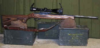 ruger 10_22t01.jpg (41183 bytes)