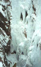 michael_tangled_ouray01.jpg (78381 bytes)
