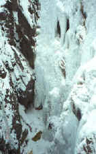 michael_tangled_ouray02.jpg (85326 bytes)