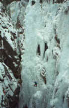 michael_tangled_ouray10.jpg (84044 bytes)
