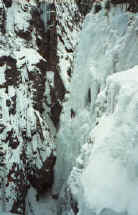 michael_tangled_ouray13.jpg (83424 bytes)