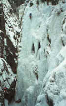 michael_tangled_ouray18.jpg (84615 bytes)