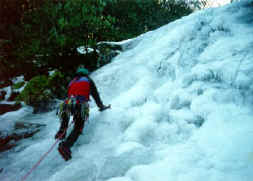 walshgulley_ps02.jpg (62692 bytes)