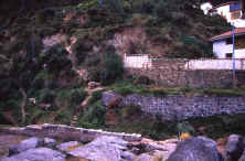 cuscoalpaqa01.jpg (122786 bytes)