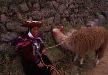 intiraymi12.jpg (111766 bytes)