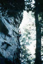 littleriver_michael01a.jpg (71635 bytes)
