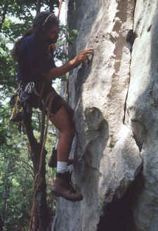 MC patching holes.jpg (141247 bytes)