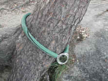 treecable04.jpg (141763 bytes)
